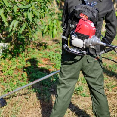 REVIEW 5 เครื่องตัดหญ้า 4 จังหวะที่ดีที่สุด