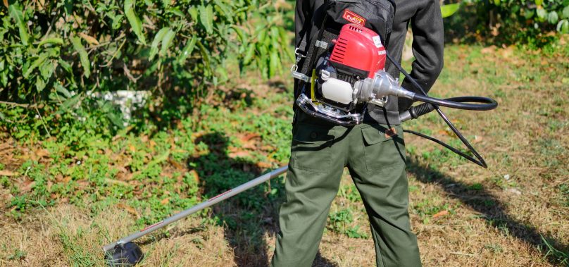 REVIEW 5 เครื่องตัดหญ้า 4 จังหวะที่ดีที่สุด