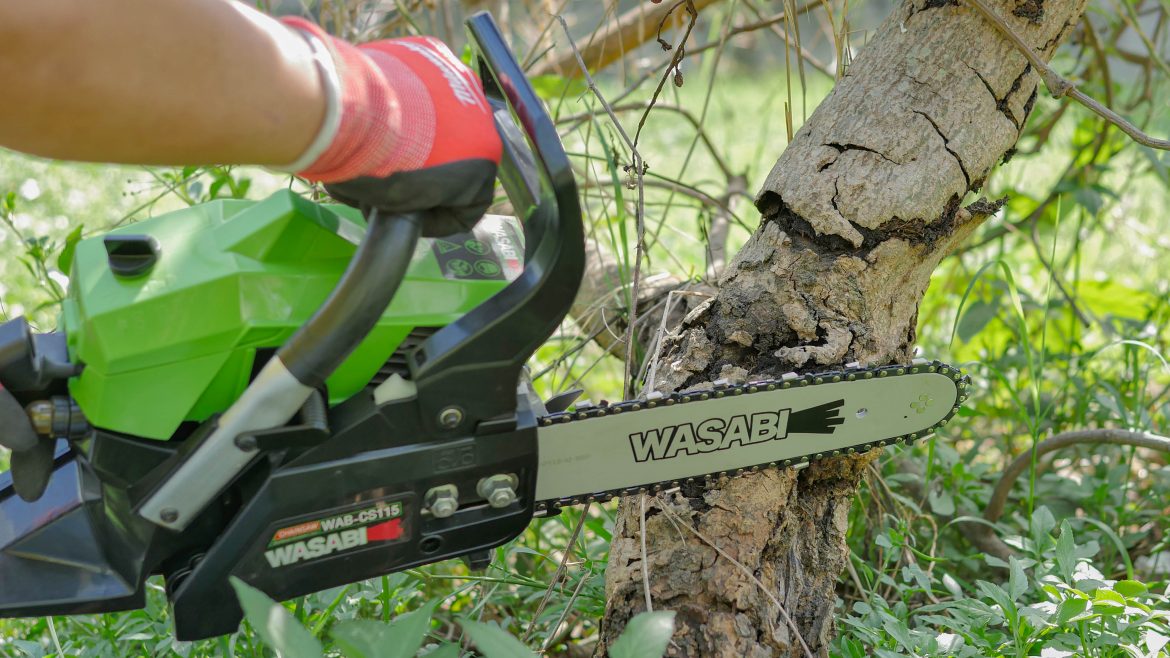 วิธีใช้งาน เลื่อยยนต์ ให้ปลอดภัย พร้อมอุปกรณ์ป้องกันที่ต้องมี