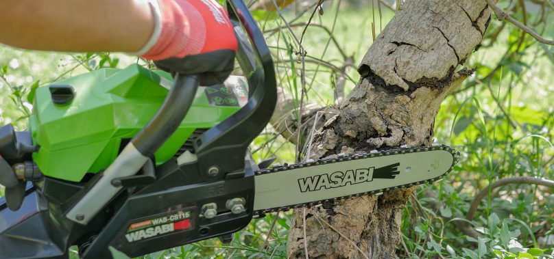 วิธีใช้งาน เลื่อยยนต์ ให้ปลอดภัย พร้อมอุปกรณ์ป้องกันที่ต้องมี