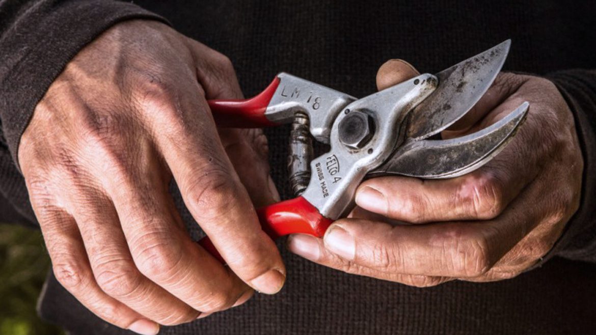 5 กรรไกรตัดแต่งกิ่งไม้ FELCO สุดเจ๋ง ที่พลาดไม่ได้