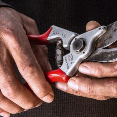 5 กรรไกรตัดแต่งกิ่งไม้ FELCO สุดเจ๋ง ที่พลาดไม่ได้