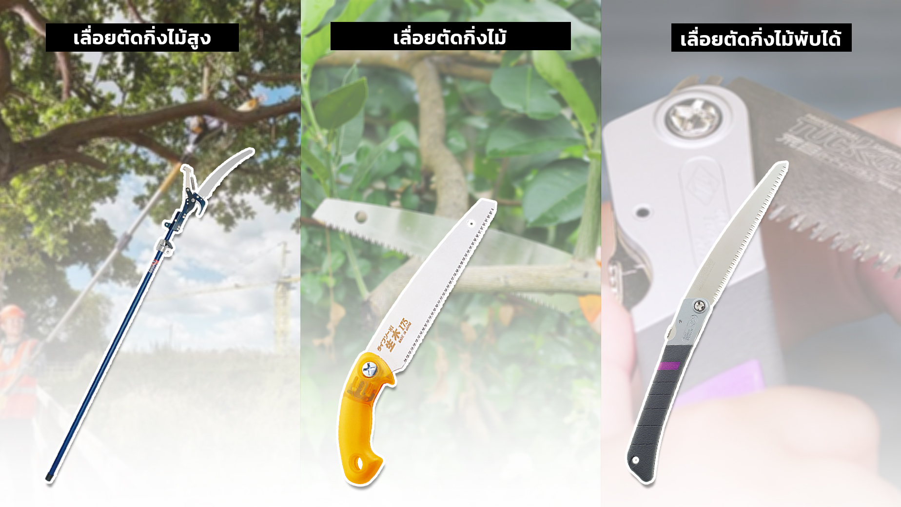 เลื่อยตัดกิ่งไม้