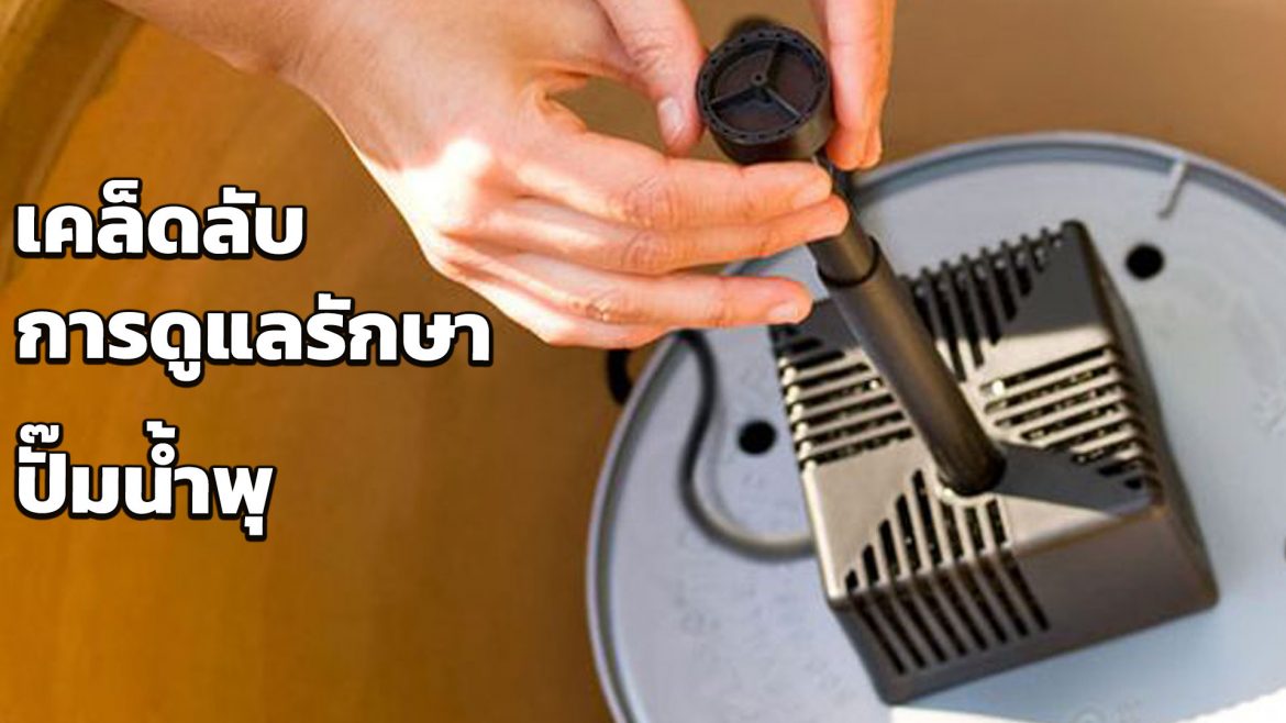 เคล็ดลับในการดูแลรักษา ปั๊มน้ำพุ