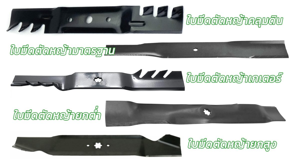 5 รูปแบบ ใบมีดตัดหญ้า แต่ละแบบรูปทรงอย่างไร?