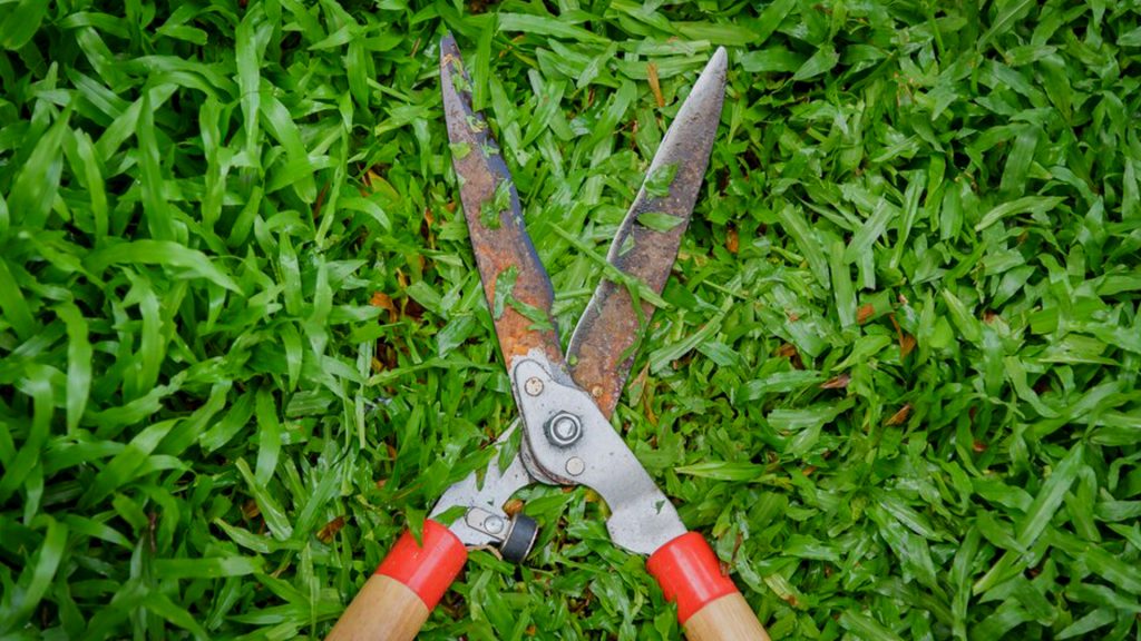 กรรไกรตัดหญ้า