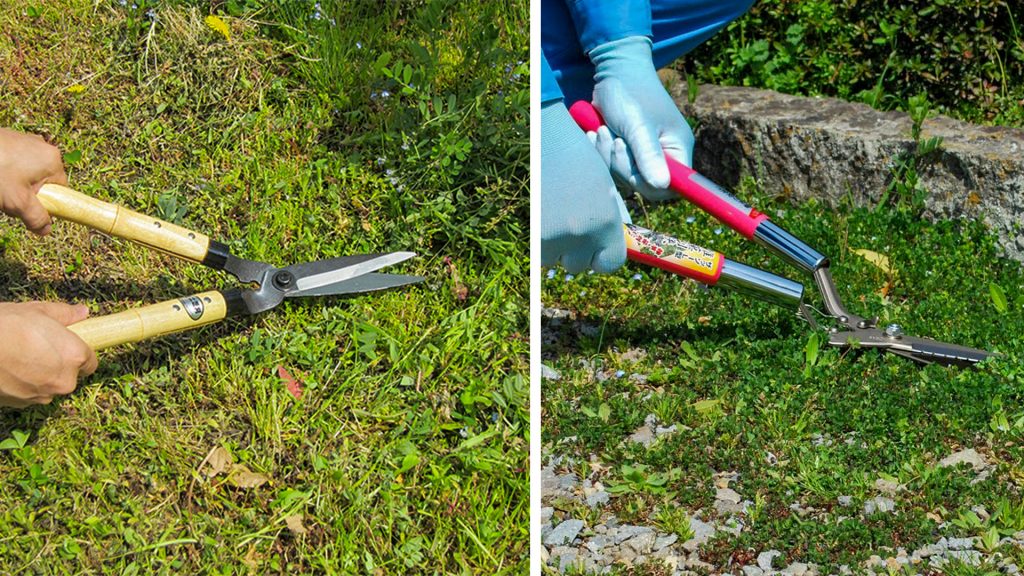 กรรไกรตัดหญ้า