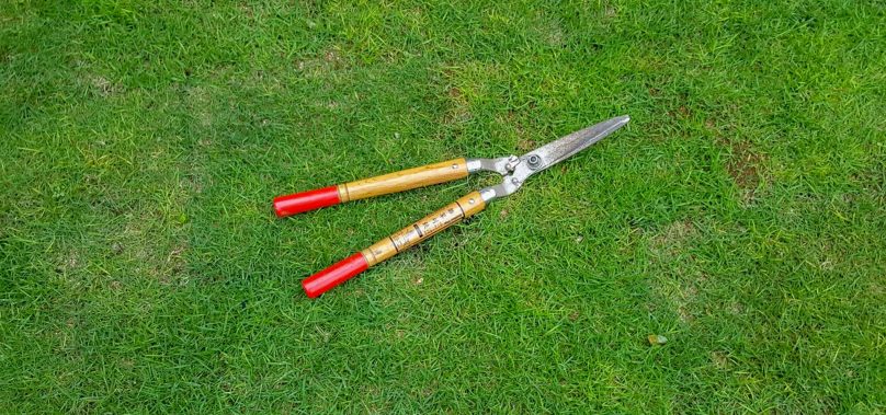 วิธีเลือก กรรไกรตัดหญ้า พร้อมวิธีบำรุงรักษา